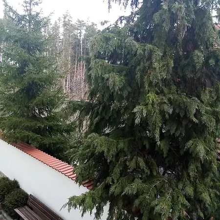 Selena Forest Delux 아파트 벨린그래드