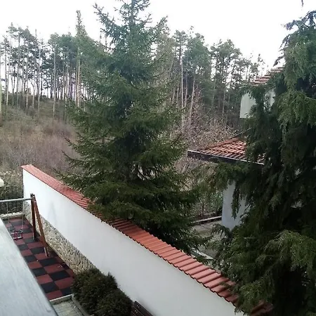 Selena Forest Delux 아파트 벨린그래드